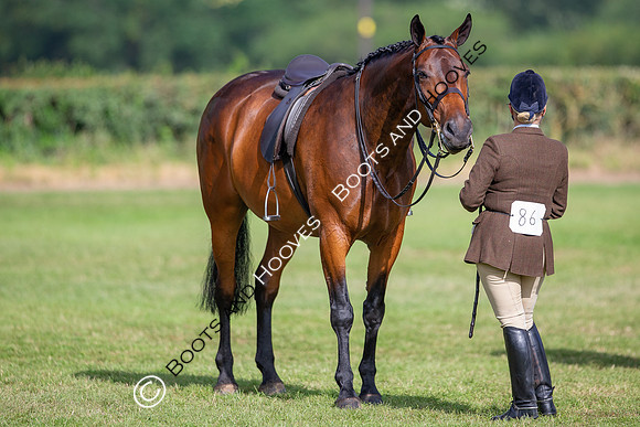 The Al Shira'aa Jumping Championships