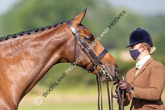 The Al Shira'aa Jumping Championships