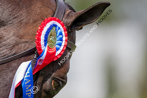 The Prenetics Royal International Horse Show