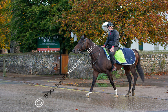 Newmarket