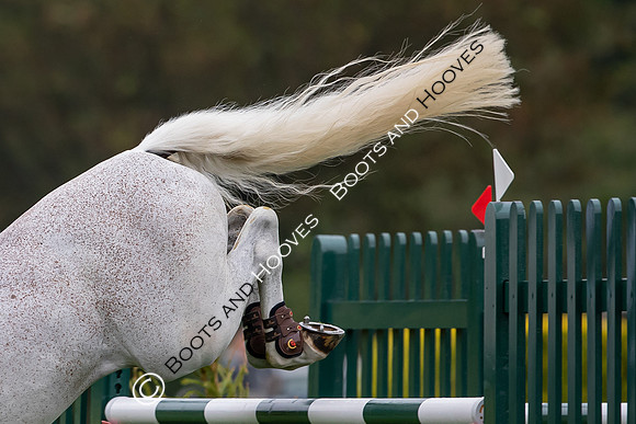 The Prenetics Royal International Horse Show