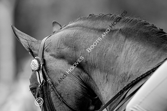 The Prenetics Royal International Horse Show