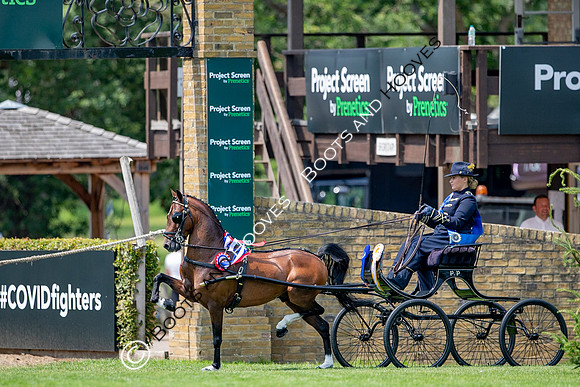 The Prenetics Royal International Horse Show