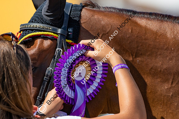 FEI Junior European Championship Young Riders, Juniors & Childre