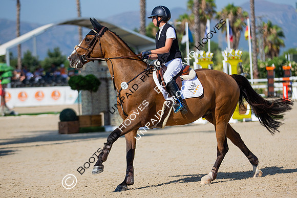 FEI Junior European Championship Young Riders, Juniors & Childre