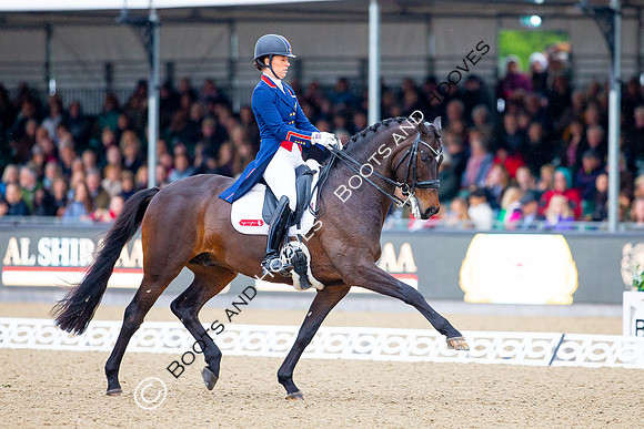 Royal Windsor Horse Show