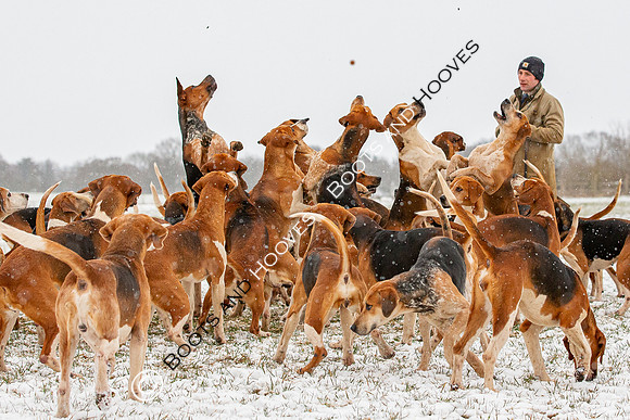 Hound Exercise
