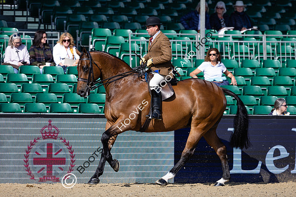 Royal Windsor Horse Show