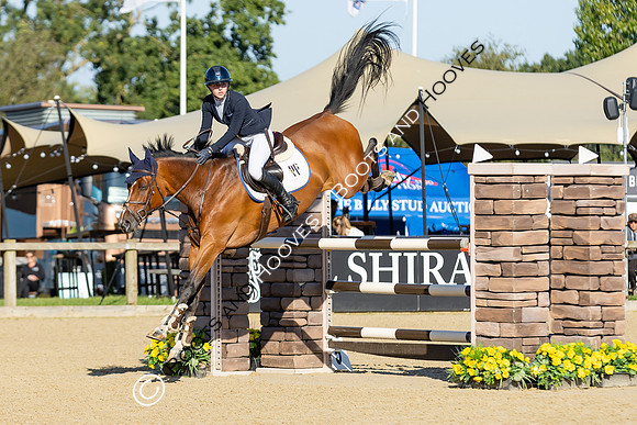 The Al Shira'aa British Young Horse Championships