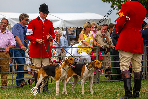 Festival of Hunting