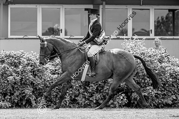 The Prenetics Royal International Horse Show