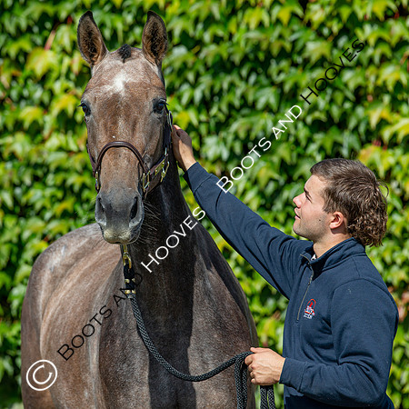 The Billy Stud Auction