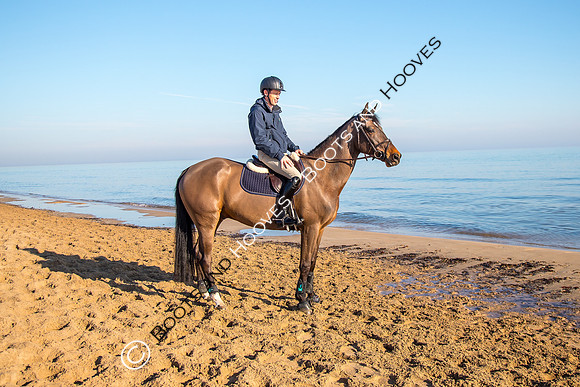 Scott Brash and Hello Mr President