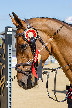 The Al Shira'aa British Young Horse Championships