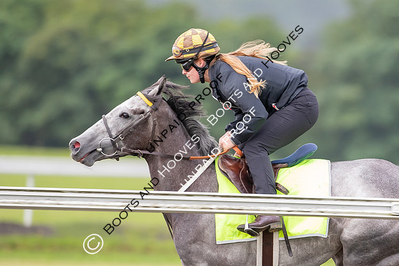 Newmarket Gallops