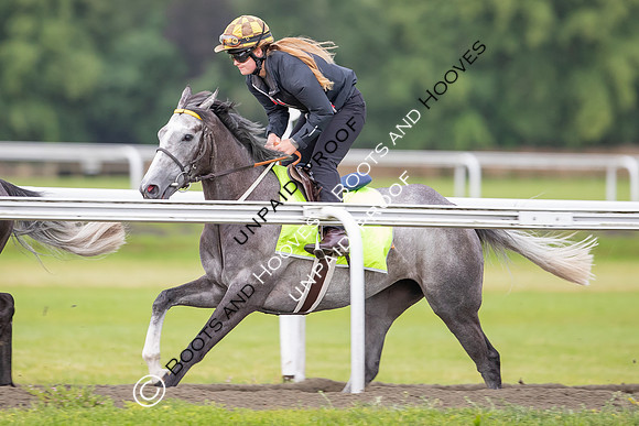 Newmarket Gallops