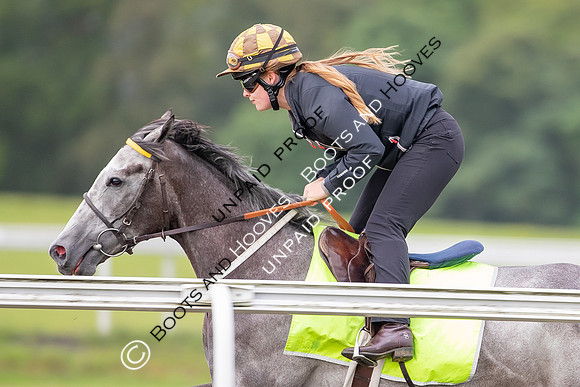 Newmarket Gallops