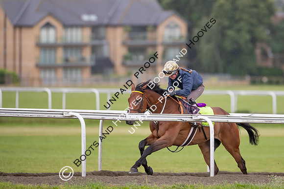 Newmarket Gallops