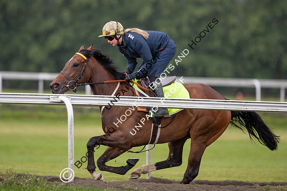 Newmarket Gallops