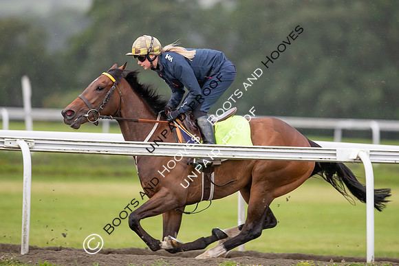 Newmarket Gallops