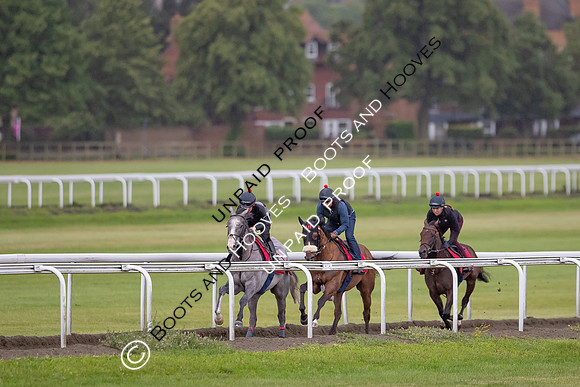 Newmarket Gallops