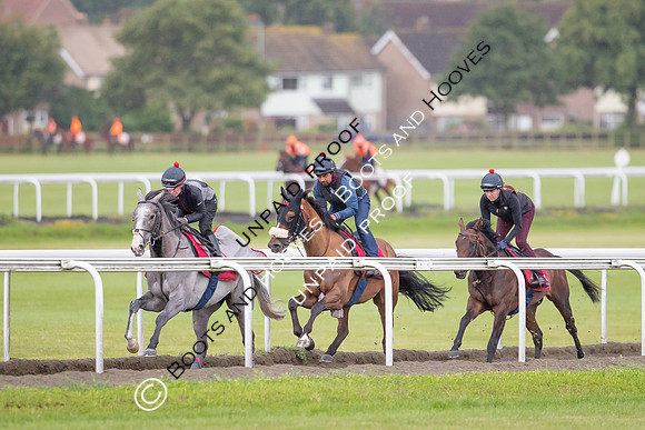 Newmarket Gallops