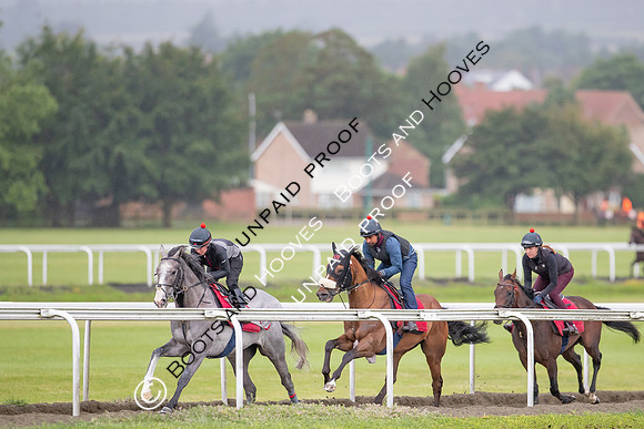 Newmarket Gallops