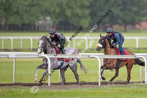 Newmarket Gallops