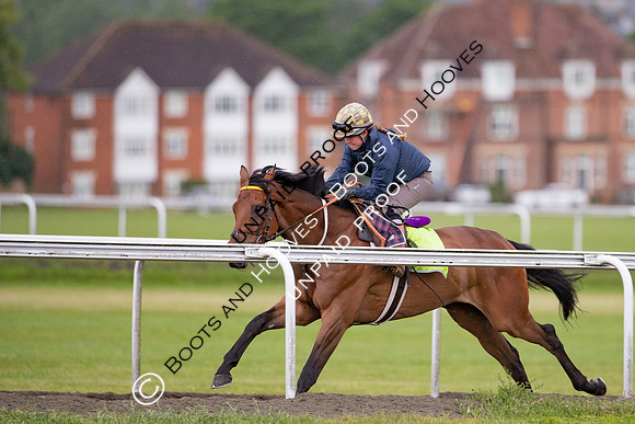 Newmarket Gallops