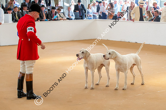 Festival of Hunting