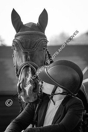 The Al Shira'aa British Young Horse Championships