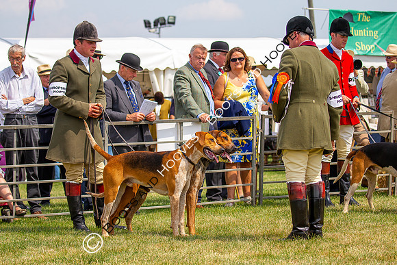 Festival of Hunting