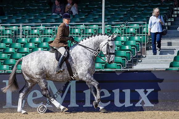 Royal Windsor Horse Show