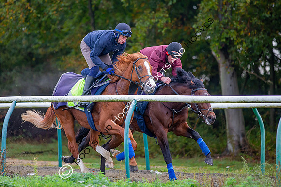 Newmarket