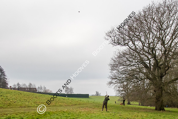 Dines Hall Game Shoot. 23/01/2019 ~ MANDATORY Credit Nick Gunn/Bootsandhooves - NO UNAUTHORISED USE - 07745 909676