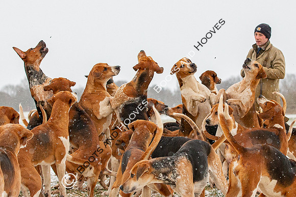 Hound Exercise