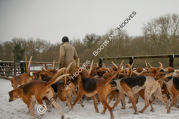 Hound Exercise