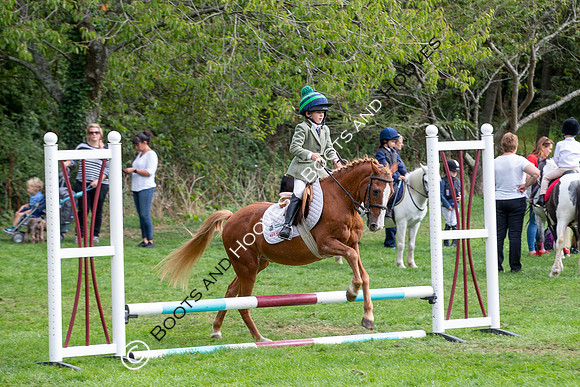 Science Supplements All England Jumping Championships
