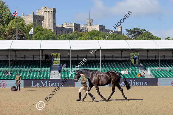 Royal Windsor Horse Show