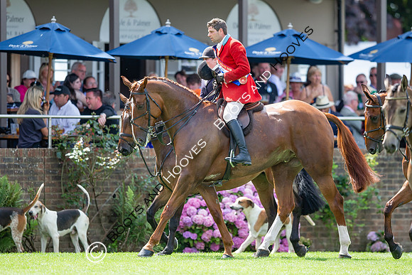 The AGRIA Royal International Horse Show