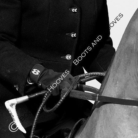 East Essex Hunt. Ladies Day. 29/01/2019 ~ MANDATORY Credit Elli Birch/Bootsandhooves - NO UNAUTHORISED USE - 07745 909676