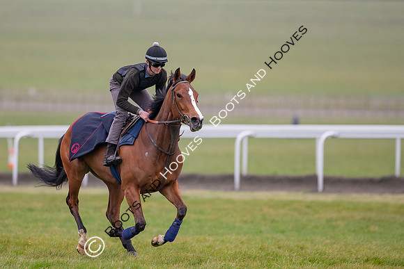 Newmarket Gallops