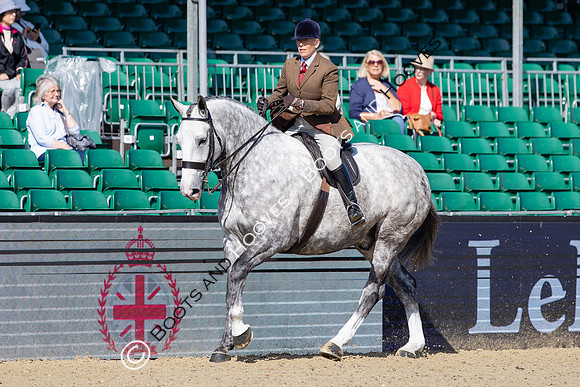 Royal Windsor Horse Show