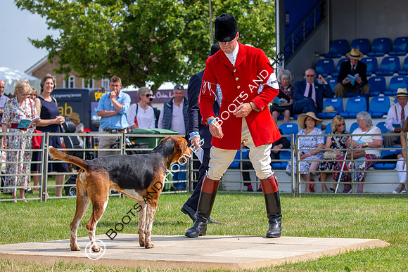 Festival of Hunting