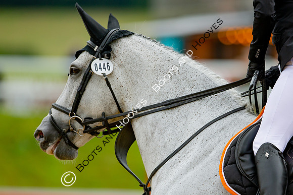 Bolesworth