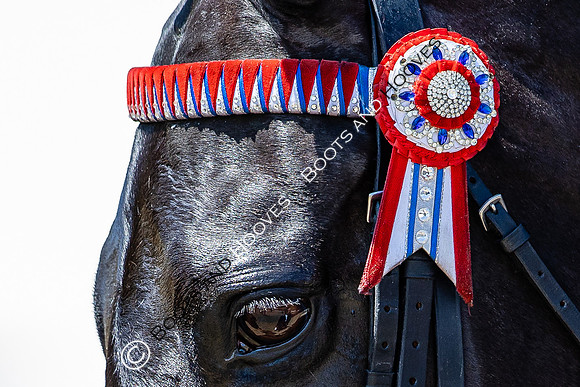 Royal Windsor Horse Show