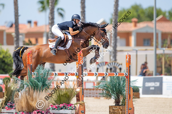 FEI Junior European Championship Young Riders, Juniors & Childre