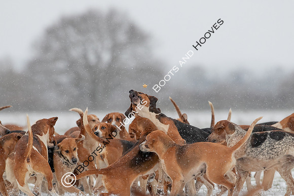 Hound Exercise