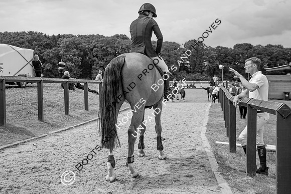 Newmarket Gallops