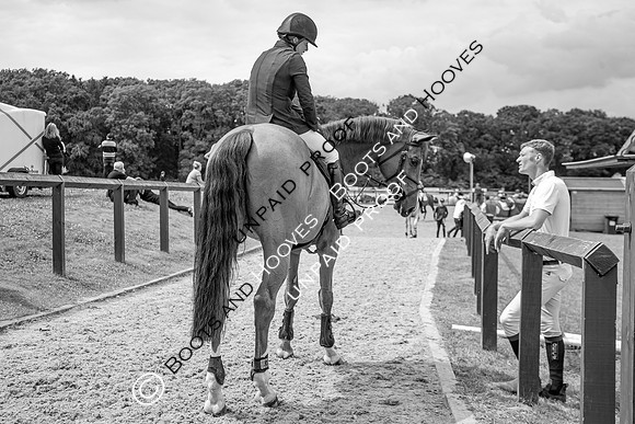Newmarket Gallops